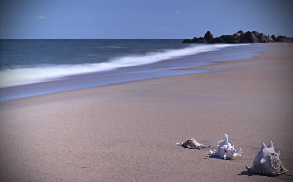 Tropicana Beach Resort & Spa Vung Tau Exterior photo